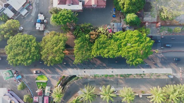 Aerial view of a tree-lined street with lush green canopy, urban infrastructure, and vehicles in Malang, East Java, Indonesia.