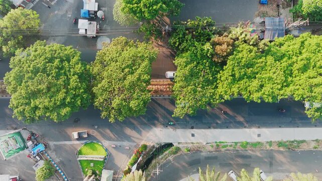 Aerial view of a road lined with lush green trees in Malang, East Java, Indonesia.