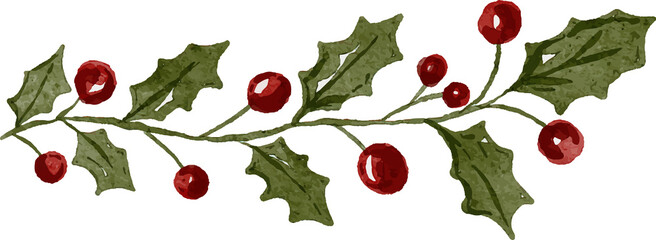 Watercolor illustration of a holly branch with green leaves and red berries perfect for Christmas and winter holiday designs isolated on white. © nabilahcholila