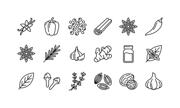 Herbs Spices Collection, line icon set featuring vanilla pod, paprika pepper, chili, cinnamon stick, star anise, basil leaf, rosemary sprig, peppercorn, turmeric root, spice jar, covering herbs,