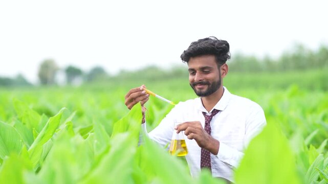 young indian agronomist making some liquid in a beaker and applying on turmeric plant at agriculture field