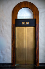 Vintage Bronze Door of an Elevator. © ttrimmer