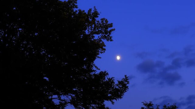Moon, planet conjunction and landscape scenery silhouettes.