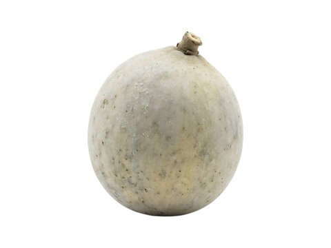 Whole Round Wood Apple Bael Fruit on White Background