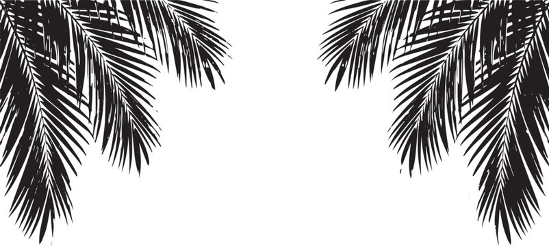 Palm Tree Leaves Silhouette Border - Tropical Fronds Top Corner Frame Isolated on White