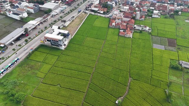 Aerial view of lush green rice fields and a farm building in Soreang, Bandung, West Java, Indonesia.