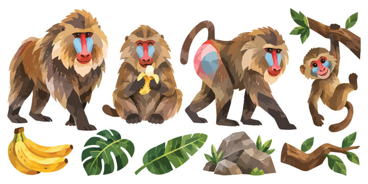 Watercolor Baboon Wildlife Animals Clipart Set