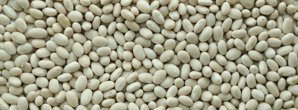 Raw Dried White Beans Scattered Background Texture