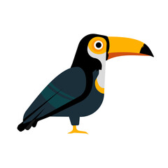 Fototapeta premium Toucan bird standing isolated, vector illustration