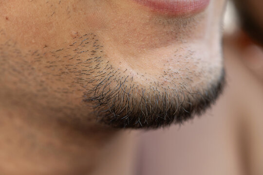 Man chin with short stubble beard