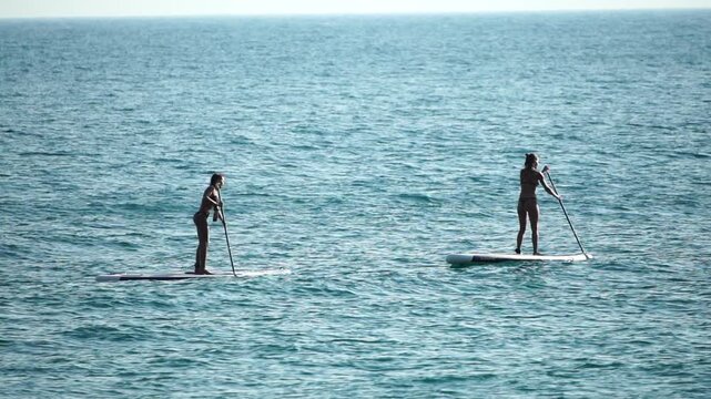 Paddleboard ocean summer women paddling on stand up boards across calm blue water during a relaxing tropical vacation at sea
