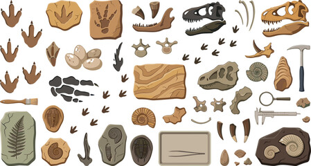 Dinosaur Fossil Collection with Prehistoric Footprints, Dinosaur Skulls, Bones, Teeth, Claws, Ammonites and Paleontology Research Tools © Jannatun
