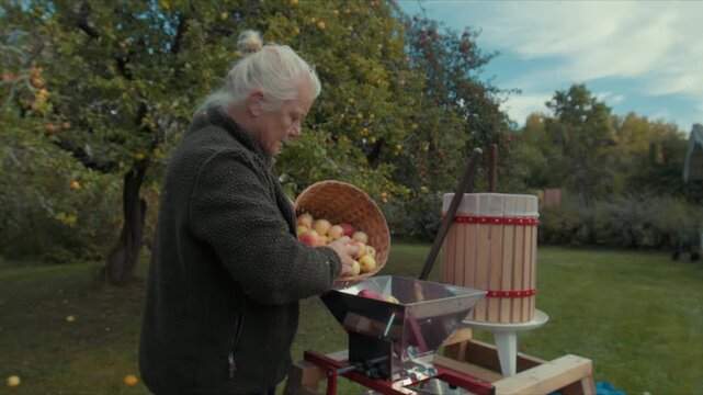Woman press apples juice in garden