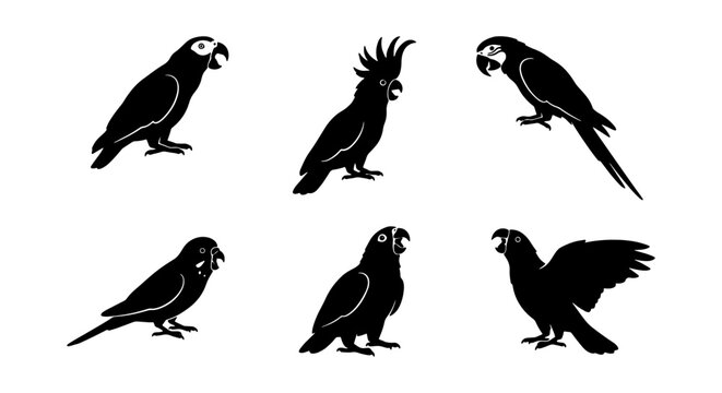 Parrot silhouettes set with macaws and cockatoos, tropical birds for logo and print