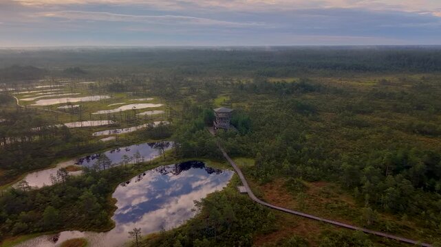 Aerial view of Viru raba vaatetorn observation tower surrounded by bog pools, boardwalk, and pine forest in Kolga, Harju maakond, Estonia.