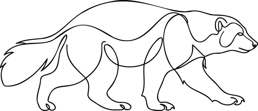 Continuous line of a wolverine walking, minimalist black outline on a white background, wild animal simple