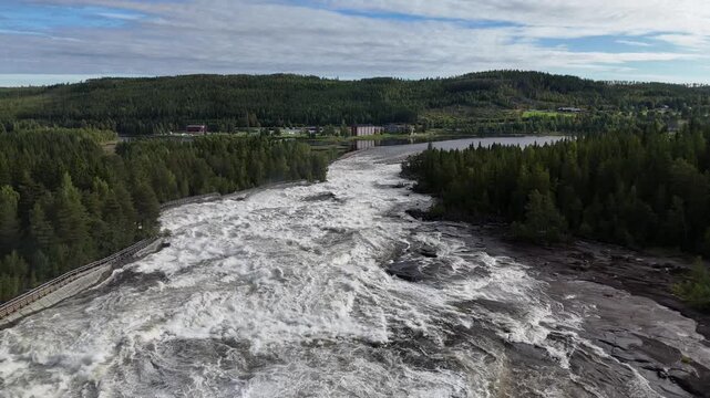 Panoramic drone aerial flyover of Storforsen, one of Europe's largest whitewater rapids on the Pite River in Norrbotten, Sweden. Massive rushing water stream flowing through pine forest wilderness 