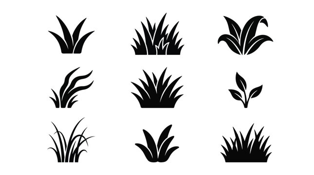 Grass silhouettes collection on a white background