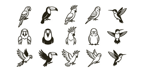 Fototapeta premium Collection of hand drawn bird illustrations featuring toucans parrots and hummingbirds in a sketch style set