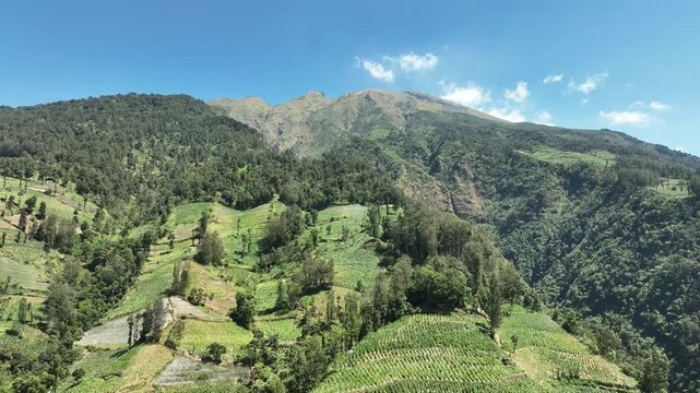 Aerial view of KEMA MERBABU Glamour Camping on the lush slopes of Mount Merbabu with terraced farms and dense forest in Kecamatan Ampel, Jawa Tengah, Indonesia.