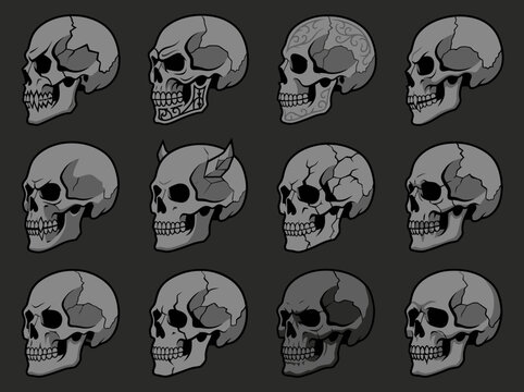 Set of various stylized human skull illustrations in profile view on dark background.