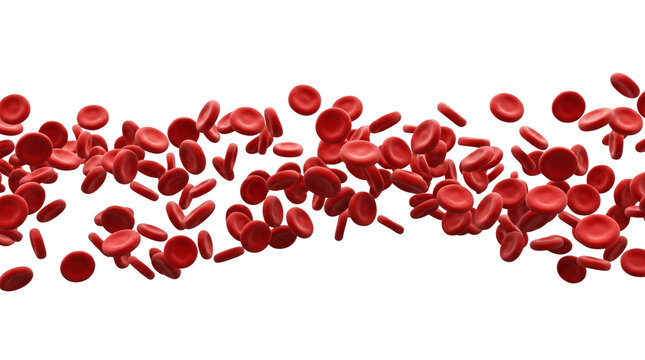 Red Blood Cells Flow Isolated Element, 3D Erythrocytes Bloodstream Cutout for Medical Science Banner, Transparent PNG Asset