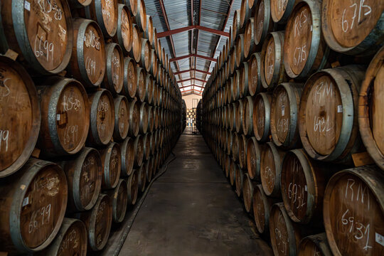 View of rows of oak barrels inside a traditional rum aging warehouse, illuminated by warm natural light in Quisqueya, San Pedro de Macoris, Dominican Republic.