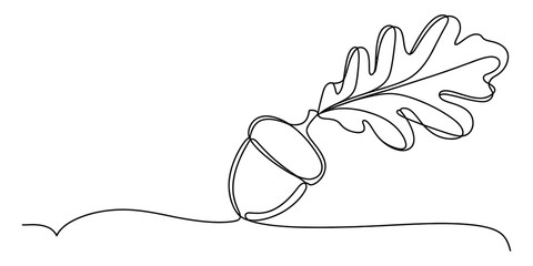Continuous single line drawing of an acorn with an oak leaf isolated on a white background Vector, illustration © Digital Illustration