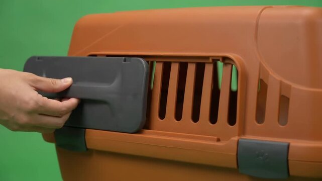 Green Screen Hand Opening Flap on Brown Pet Carrier