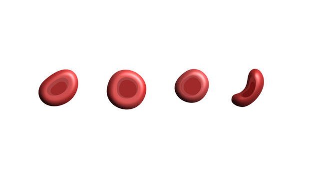 Normal Red Blood Cell Set in Different Views Isolated on Transparent Background