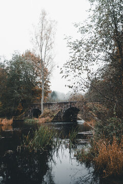 View of Otteni Sild stone bridge over a calm river surrounded by autumn trees and reeds in a misty forest in Valgesoo, Polva County, Estonia.