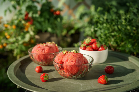Two servings of homemade strawberry sorbet with fresh strawberries arranged on an outdoor table in a lush summer garden