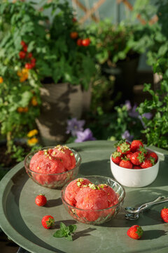 Homemade strawberry sorbet served with fresh strawberries on a sunny outdoor table surrounded by colorful flowers and lush garden greenery