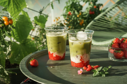 Two colorful layered strawberry matcha lattes with ice served on an outdoor table surrounded by lush green plants in a sunny summer garden