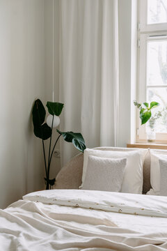 Bedroom interior with white bedding, pillows, and green plant on windowsill