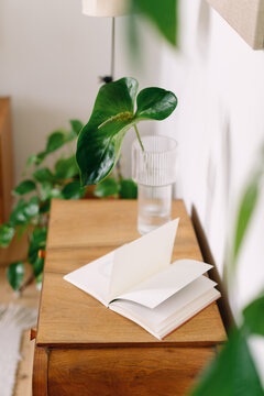 Wooden cabinet with open book and green plant in living room