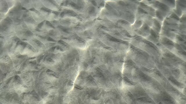 sunlight filtering through shallow, crystal-clear water creating bright caustic light patterns across a sandy seabed