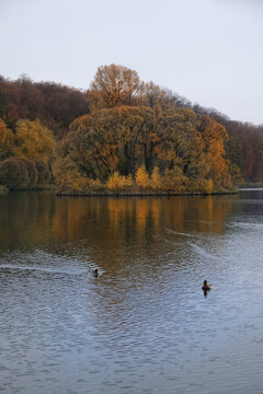 Beautiful autumn landscape with trees and lake in park. Cloudy day in city park at fall season. wet cold weather. melancholy, peaceful, relax atmosphere