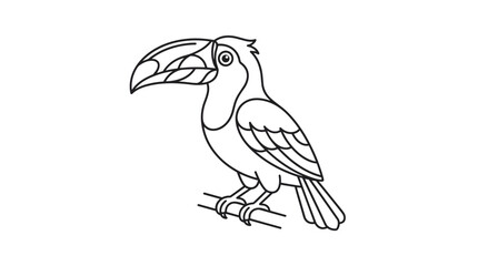 Fototapeta premium Toucan Bird Illustration Line Art.