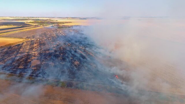 Aerial view of a large agricultural field burning with thick smoke rising over the scorched crops in Serbia.