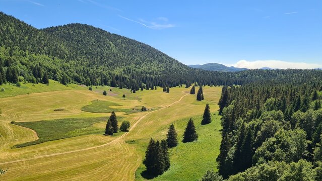 Le plateau d'Herbouilly et sa c&eacute;l&egrave;bre ferme, ancien poste de commandement du Capitaine Goderville, vu l'&eacute;t&eacute; depuis la route dominant la for&ecirc;t et sa clairi&egrave;re (parc naturel r&eacute;gional du Vercors)