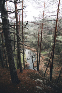 View of Harma muurid cliffs overlooking the river surrounded by pine trees and autumn foliage in Harma, Voru County, Estonia.