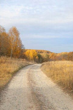 Beautiful landscape with yellow-orange foliage autumnal trees and country road.  Harmony nature image of autumnal forest and road in fall season