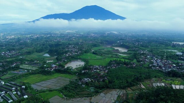 Aerial view of Mount Gede Pangrango National Park with lush rice fields and rural landscape in Sukabumi, West Java, Indonesia.