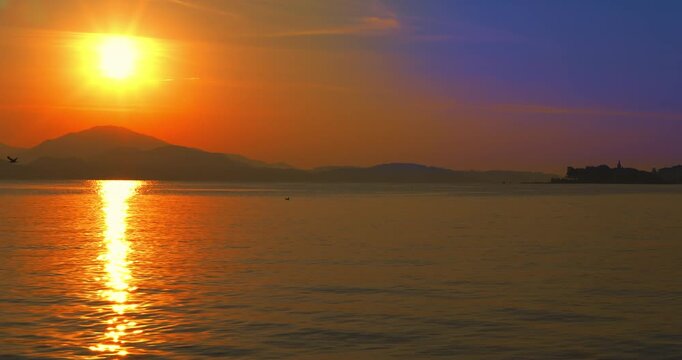  Landscape at dawn with seagulls on the lake