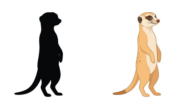 Meerkat and its black silhouette stand on hind legs illustration