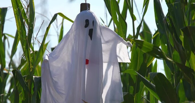 Halloween Ghost 2026 in the Corn Maze.