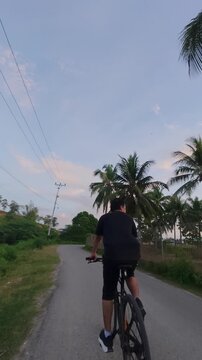 Person Riding Bicycle on Tropical Road