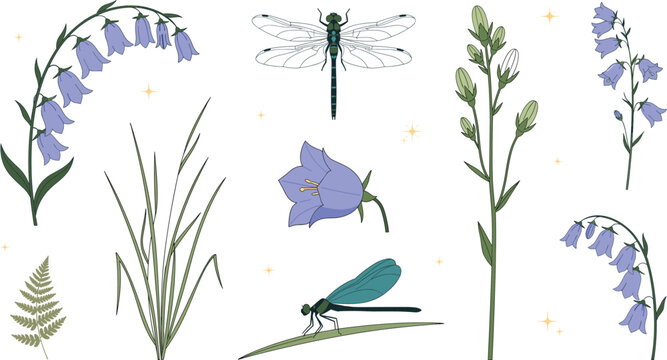 Botanical vector element collection with blue bluebell flowers hand drawn wild grass dragonflies fern leaf and magic stars