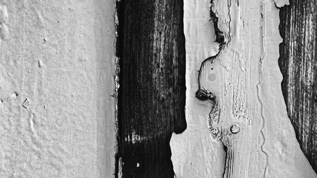 Weathered wood texture with peeling paint
